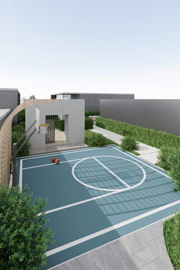 Multi-purpose court